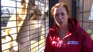 Marie Waxel gets a scare from Una the lioness. (WAFF-TV)