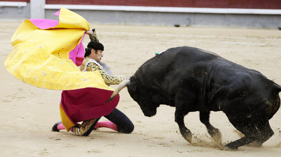 Bullfight called off after matadors gored