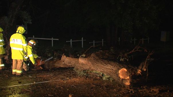 The SES has warned people to beware of downed power lines, trees and storm debris. (9NEWS)
