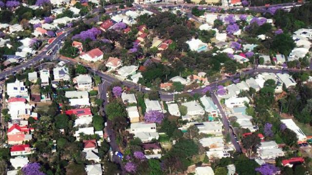 Penny Dahl, the traffic reporter for the TODAY Show, spotted the Sydney suburbs scatteredwith Jacarandas from the 9NEWS helicopter. (Instagram: @pennycopter)