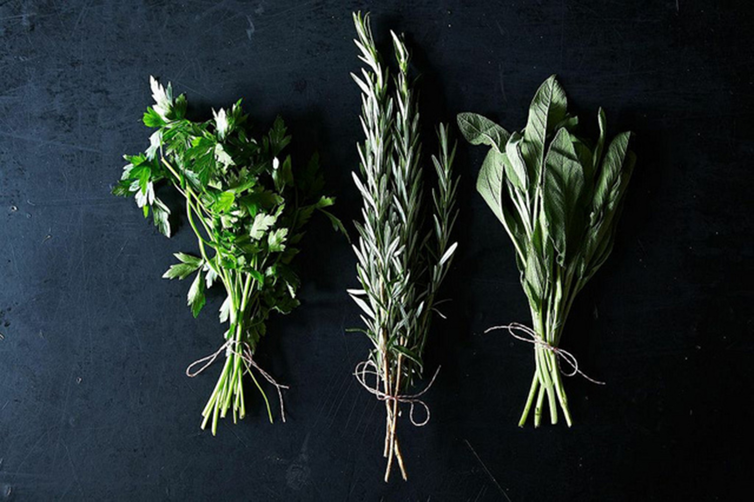 Why are my herbs dying? Common kitchen herb garden mistakes 9Homes