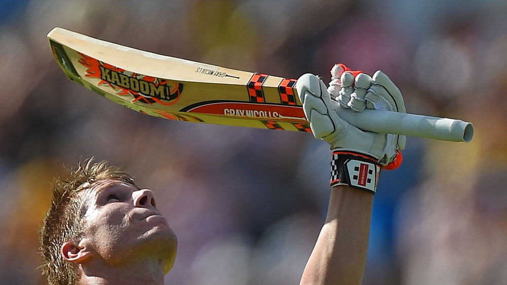 Image result for david warner bat '