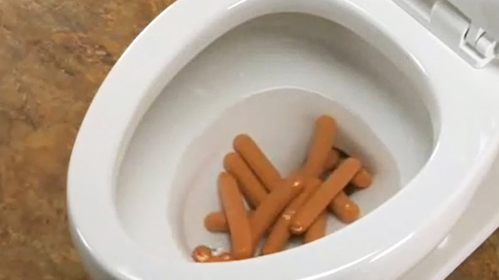 Strangely Mesmerising Super Toilet Can Flush Everything 9pickle