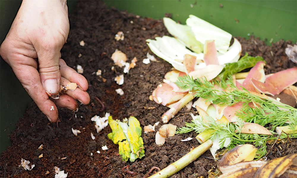 How to start a backyard worm farm 9homes