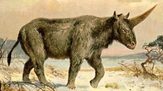Ancient unicorns lived amongst humans - 9News