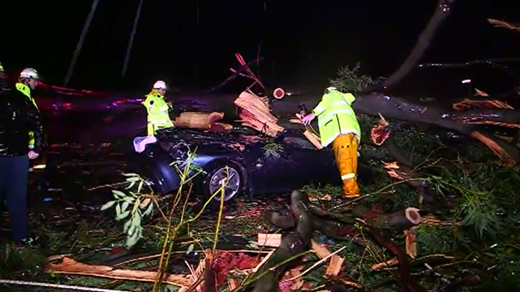 Woman in hospital after tree falls on car in Coffs Harbour - 9news.com.au