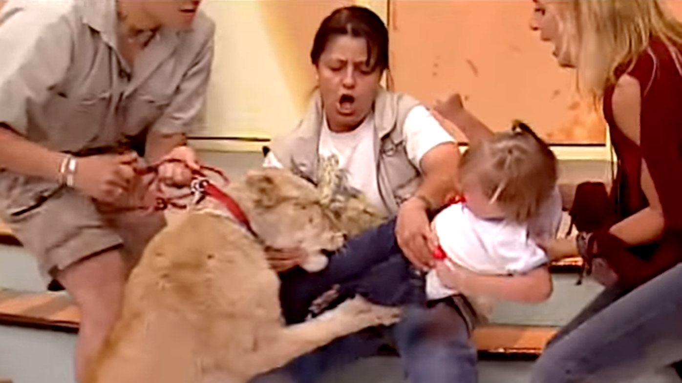 女童哭聲惹惱獅子！ 保育員成功解除危機 | 文章內置圖片