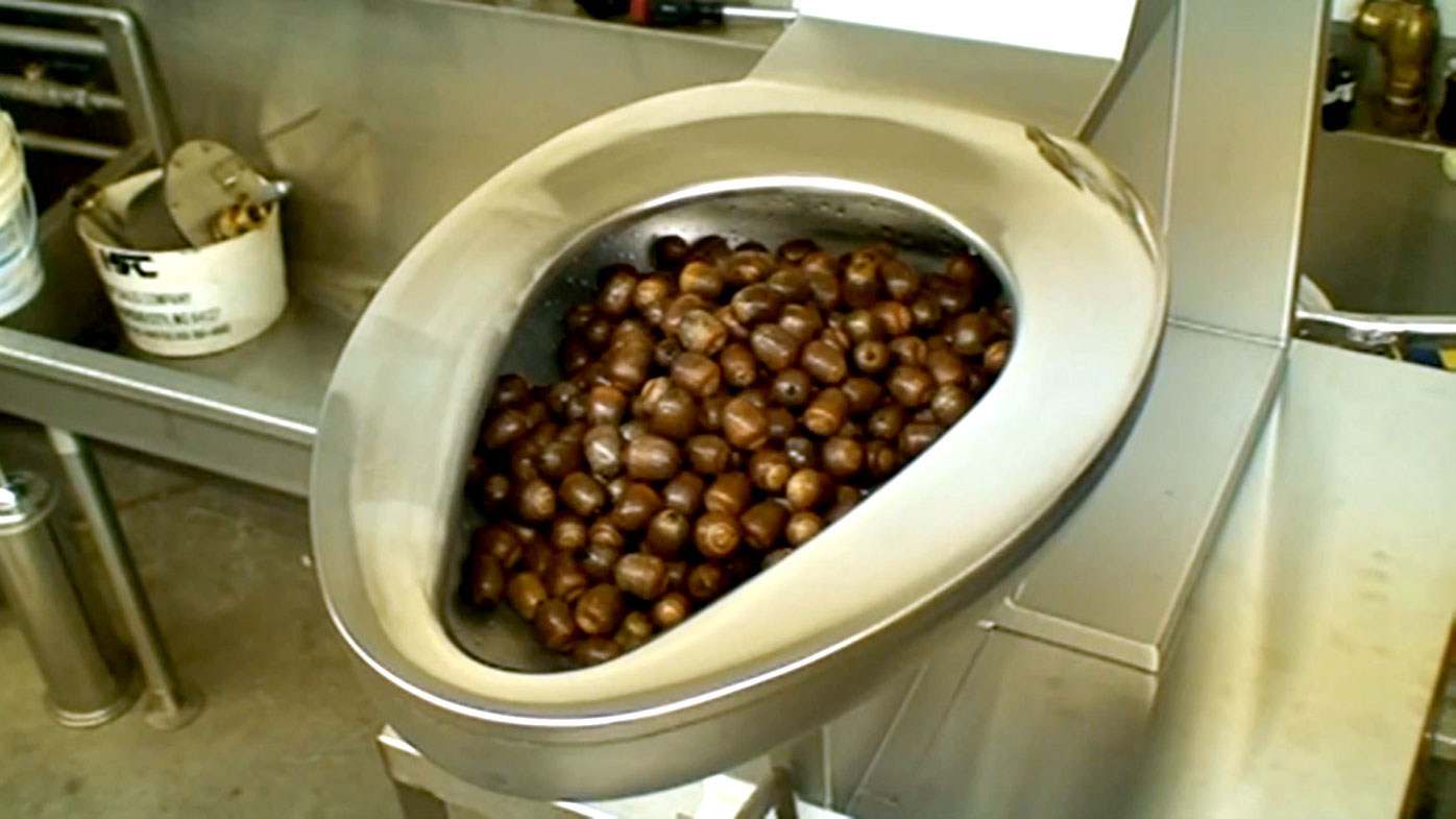 Hardcore prison toilet can flush anything 9Pickle