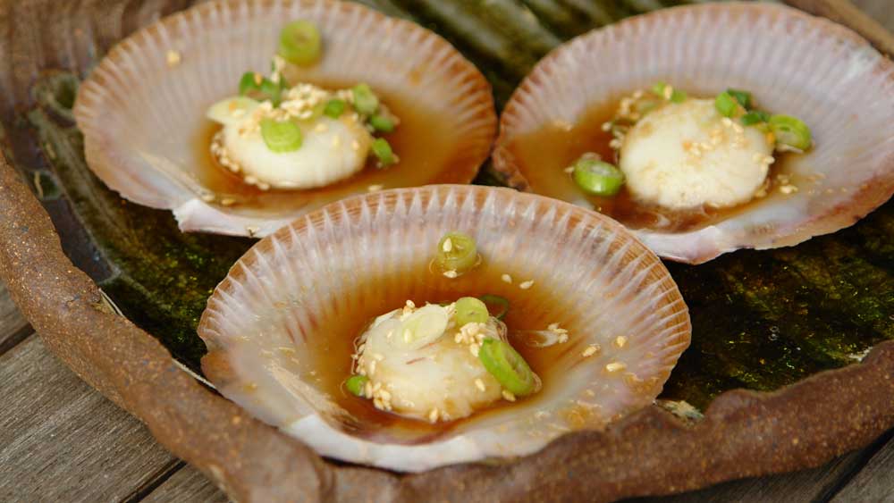 Steamed saucer scallops with green onion and ginger 9Kitchen