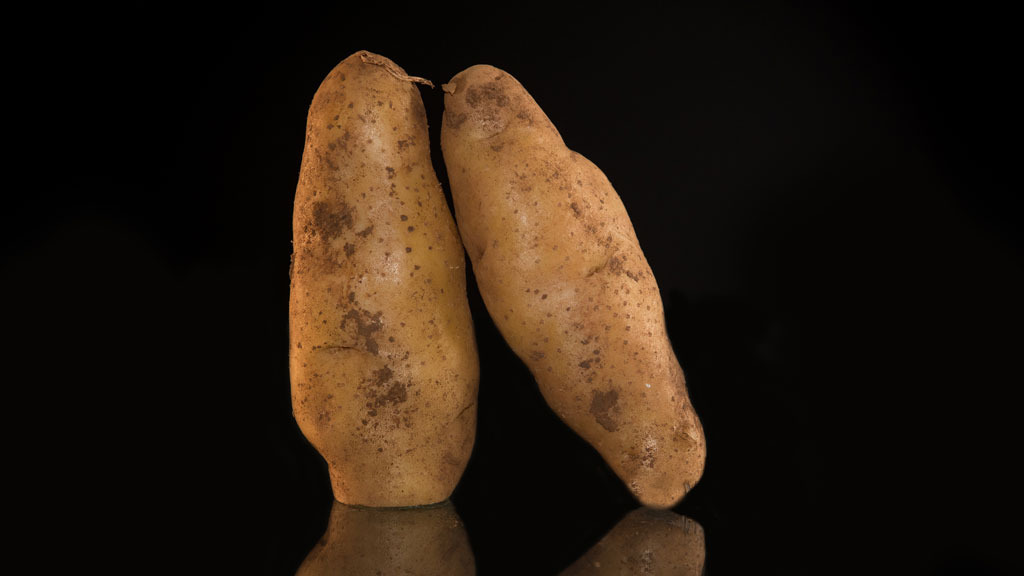 Know your potatoes a guide to what to cook with which variety