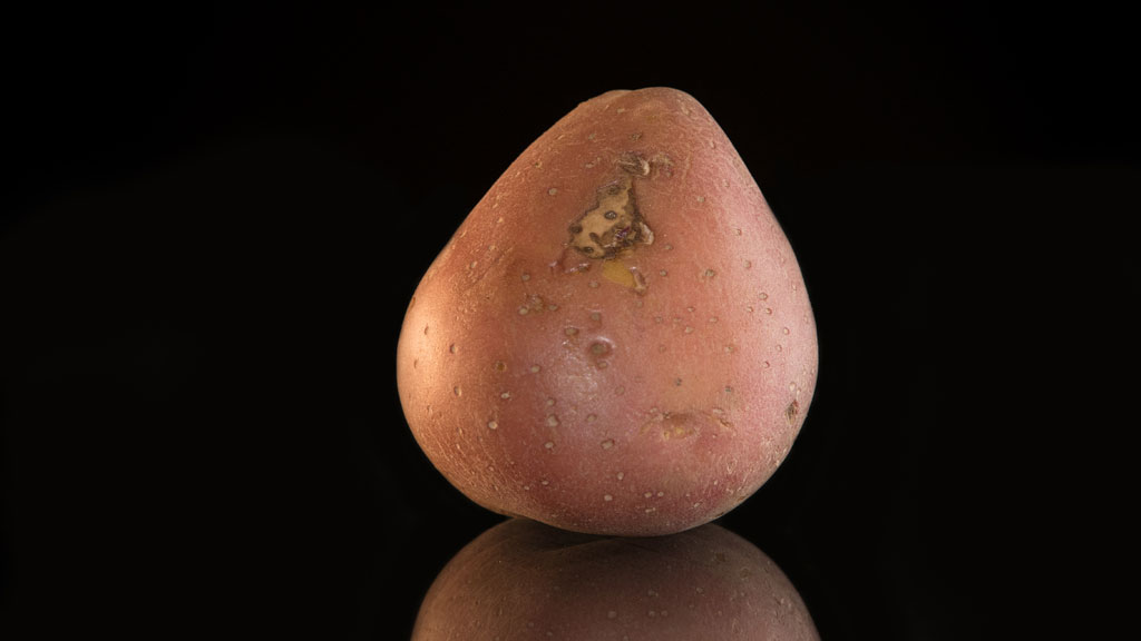 Know your potatoes a guide to what to cook with which variety