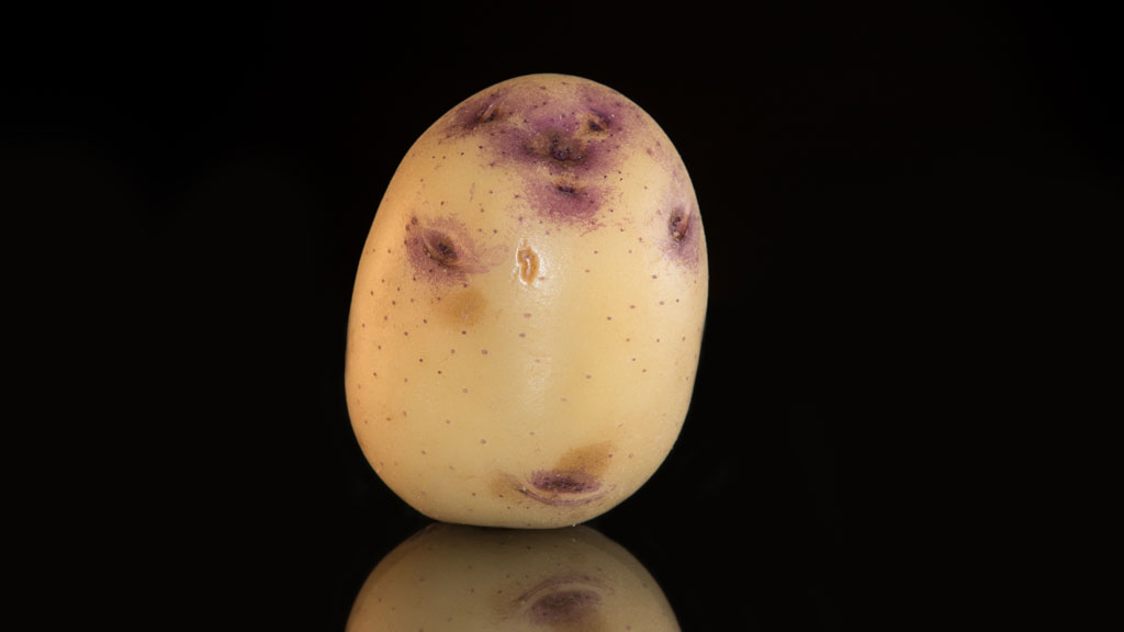 Know your potatoes a guide to what to cook with which variety