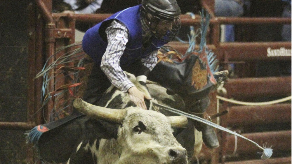 Aussie Bull Rider Seriously Injured In US - Nine Wide World Of Sports ...