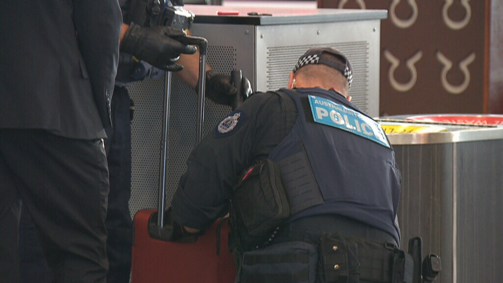 Police inspecting a traveller's bag at Sydney Airport. (9NEWS)