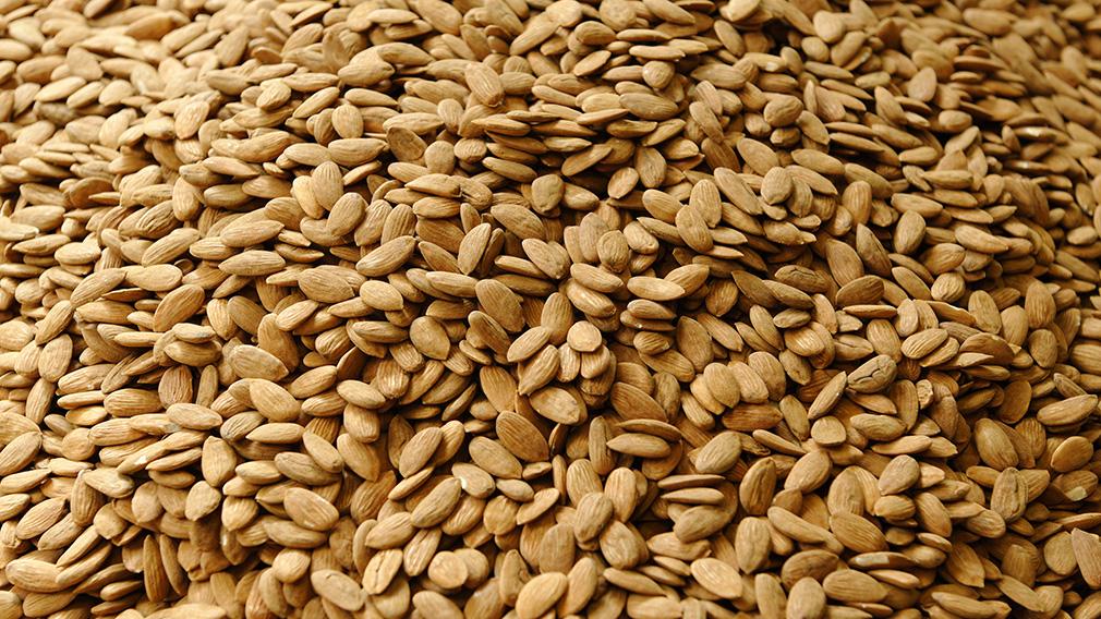 Eating Almonds May Raise Good Cholesterol Levels Eating Almonds May Raise Good Cholesterol Levels