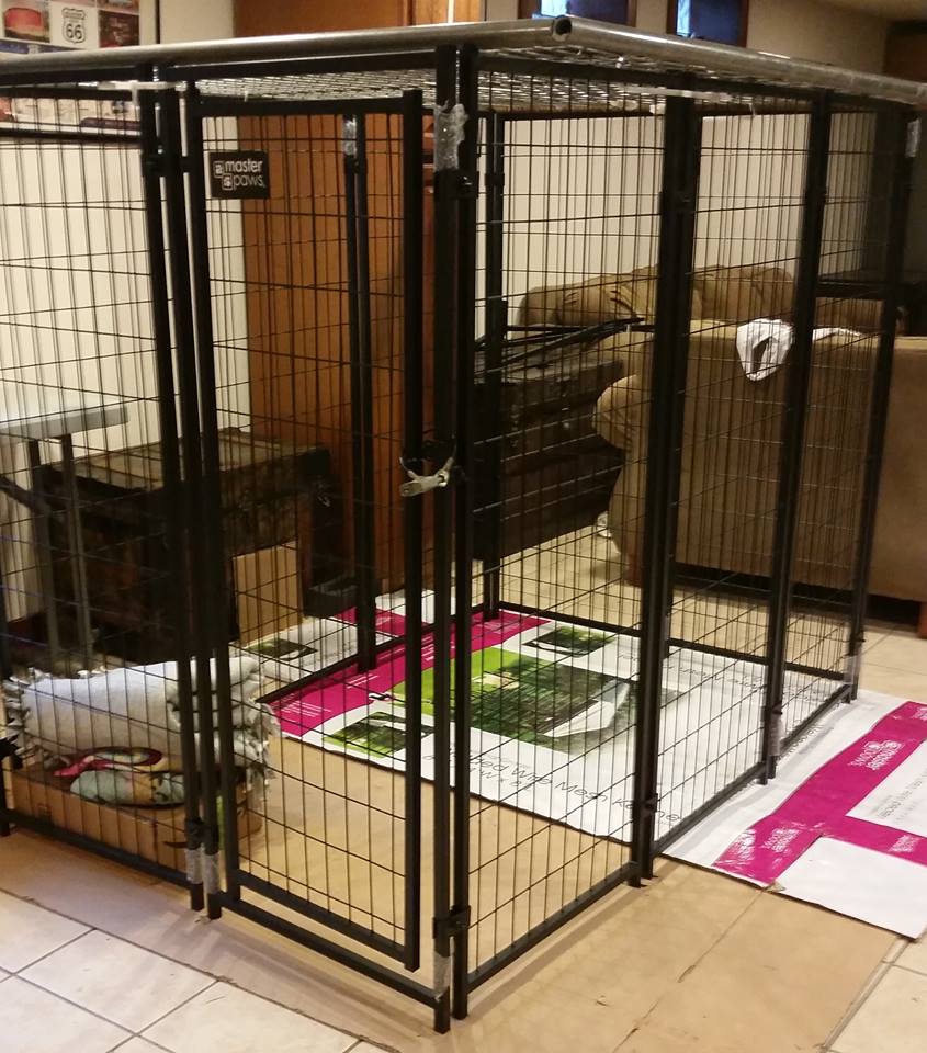 Grandmother claims she put girl, 9, in cage to keep her safe