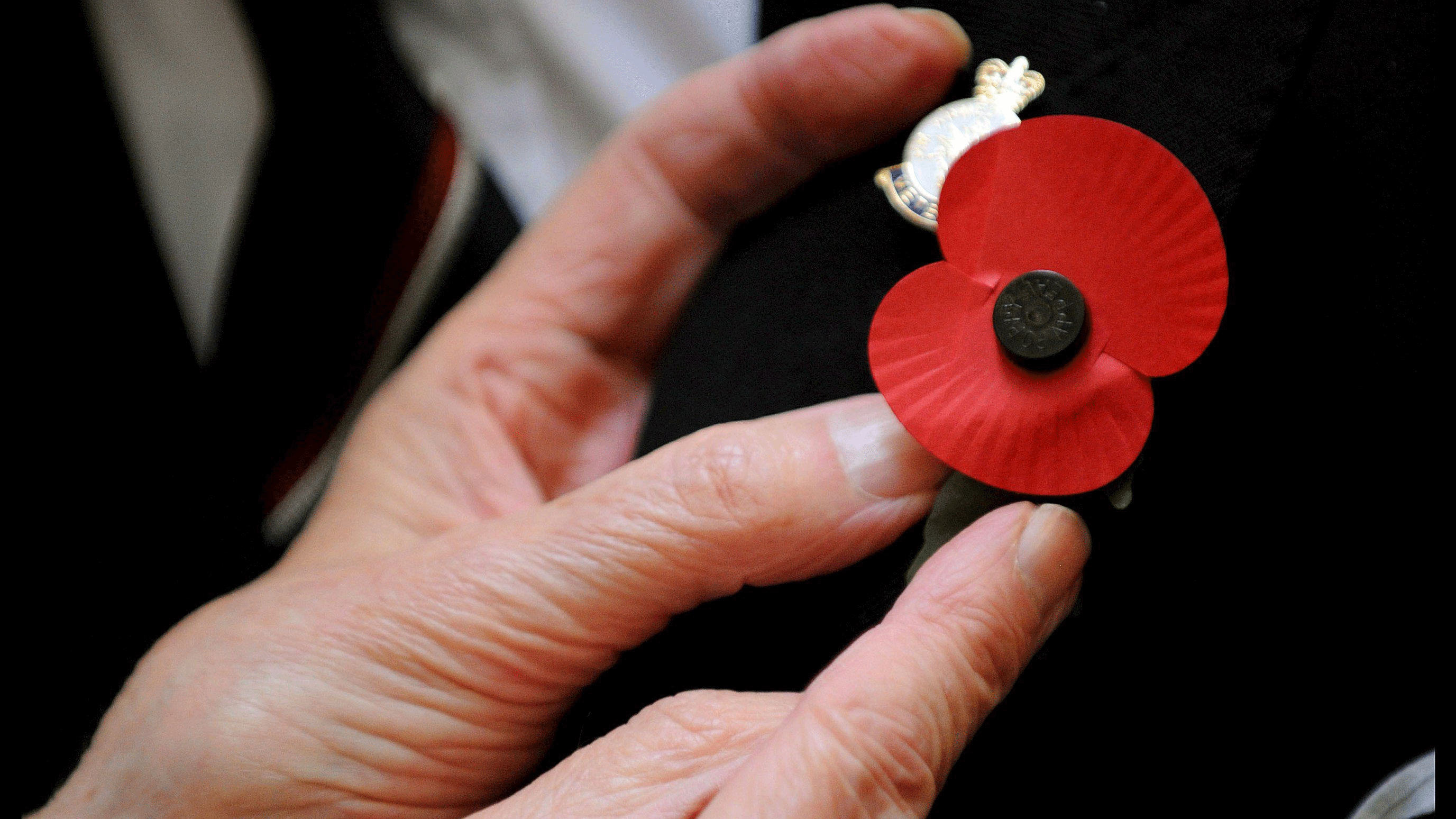 remembrance poppy rainbow