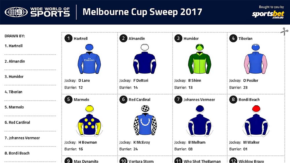 melbourne-cup-sweep-your-printable-pdf-for-the-2017-race