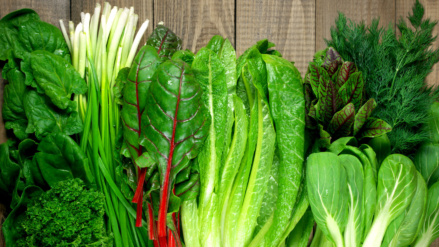 Leafy green vegetables slow cognitive decline - 9Coach