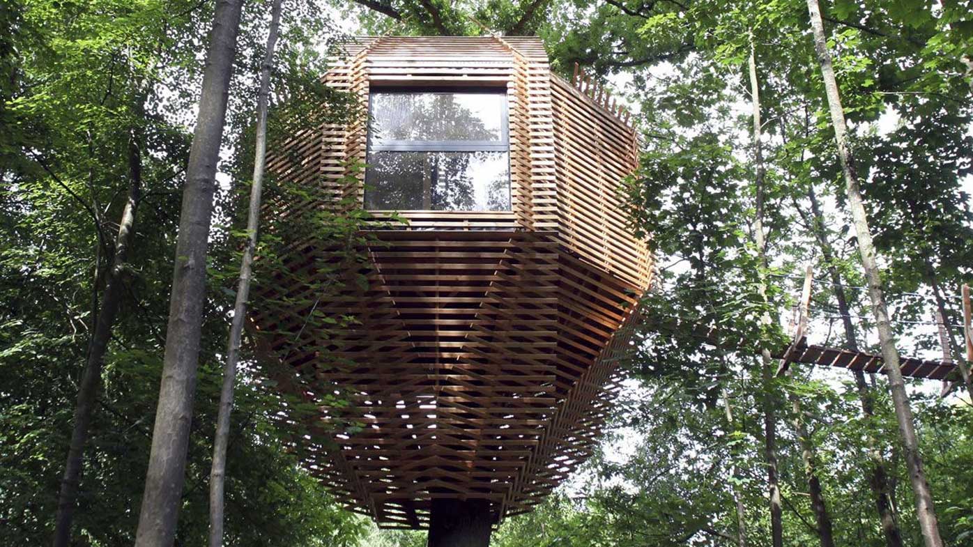 Luxury Bird S Nest Tree House Doubles As Hotel And Spa 9Travel