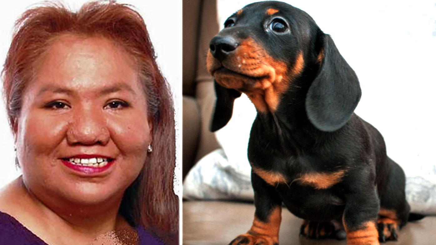 Sausage dogs kill US woman in her home
