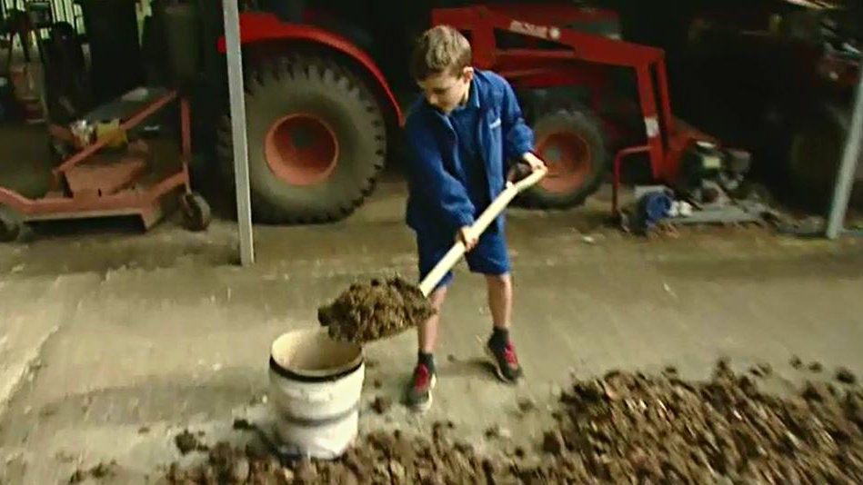Thieves steal bags of manure from boy's honesty stall