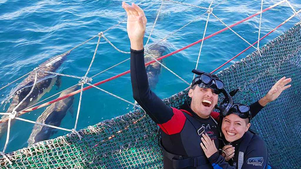 Port Stephens Swim with wild dolphins in Australia's dolphin captital