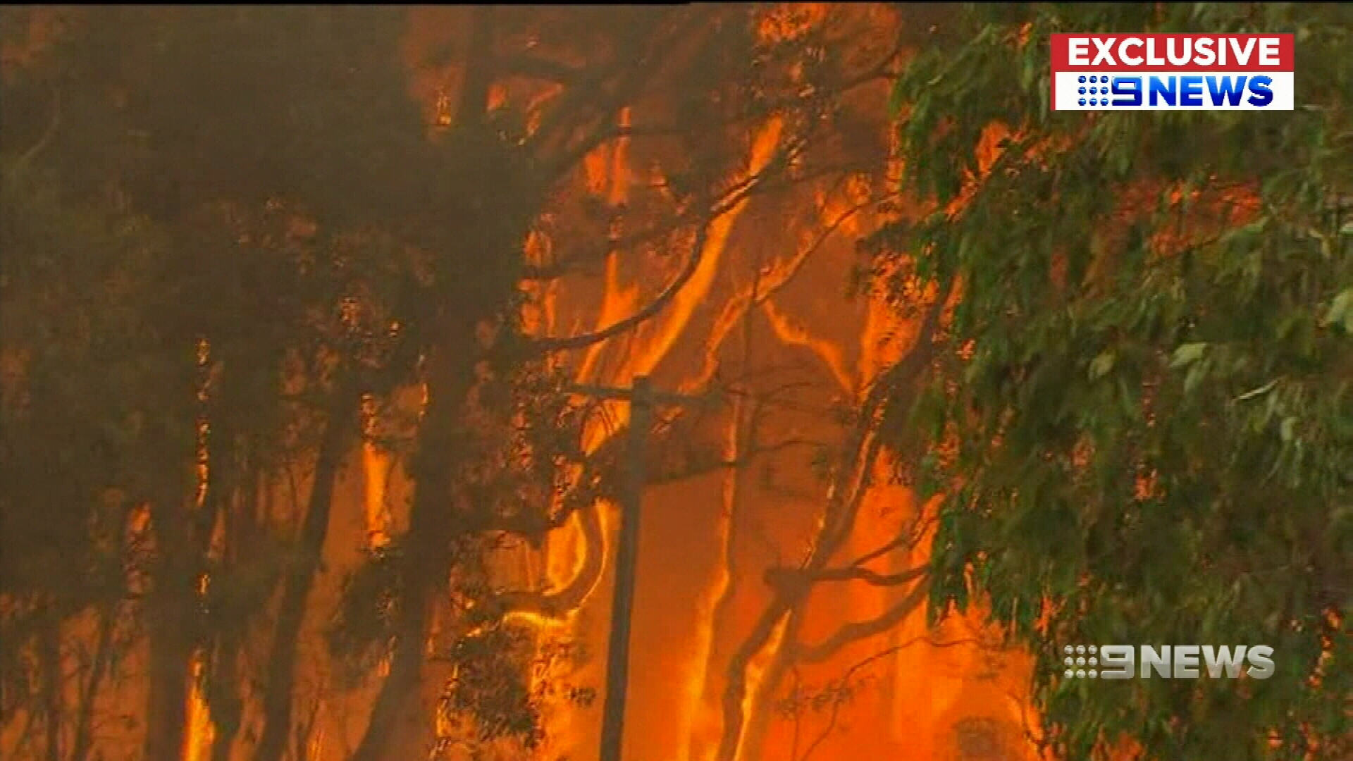 Western Power blames bushfire victim for power pole blaze