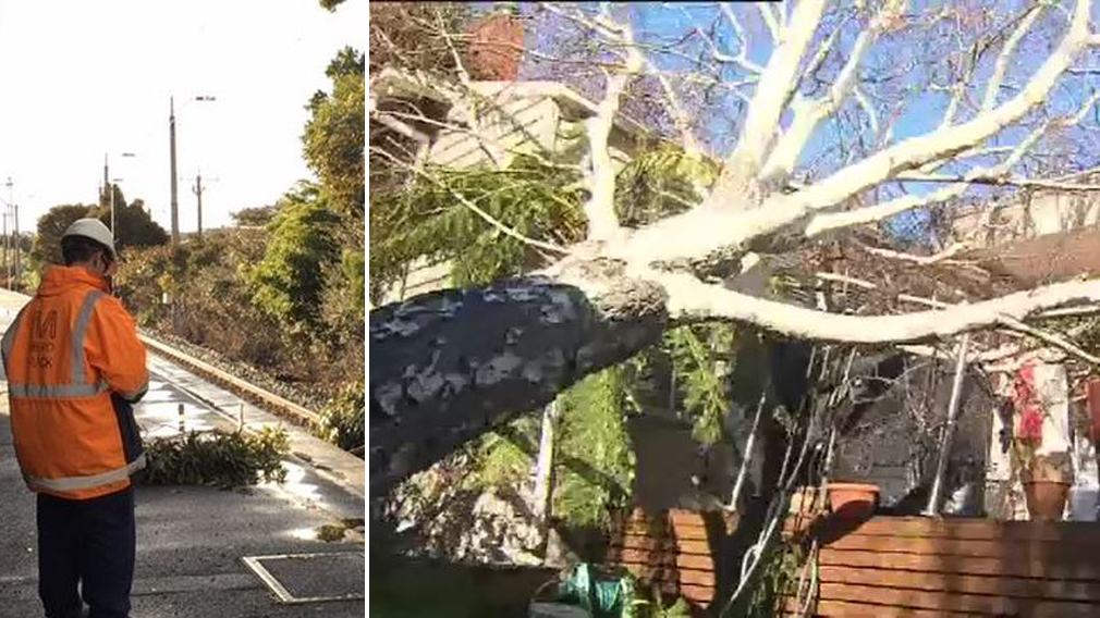 Victoria cleaning up trail of destruction after wild winds and intense storms