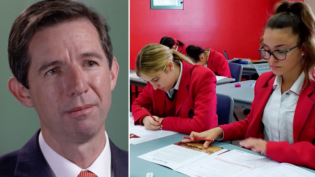 Education Minister Simon Birmingham admits failing system 'needs to change' amid NAPLAN outcry