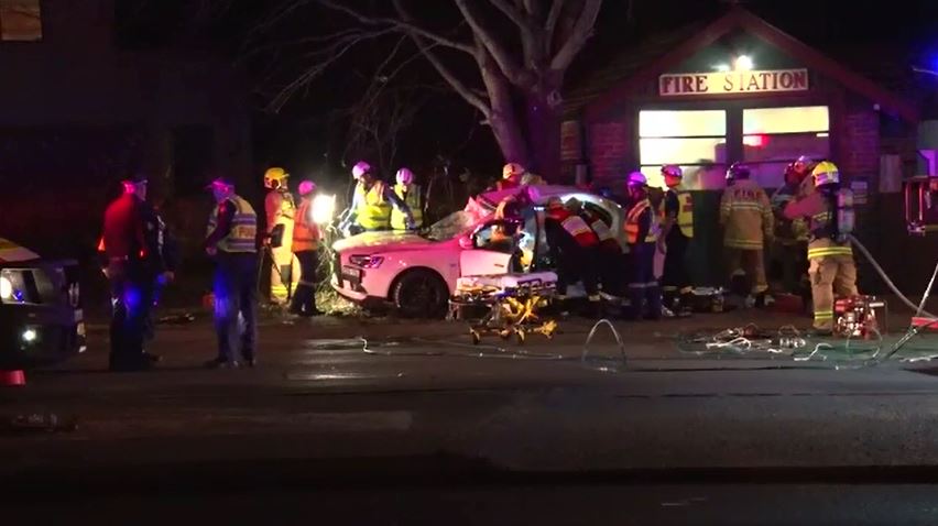 Young NSW driver killed after car strikes tree