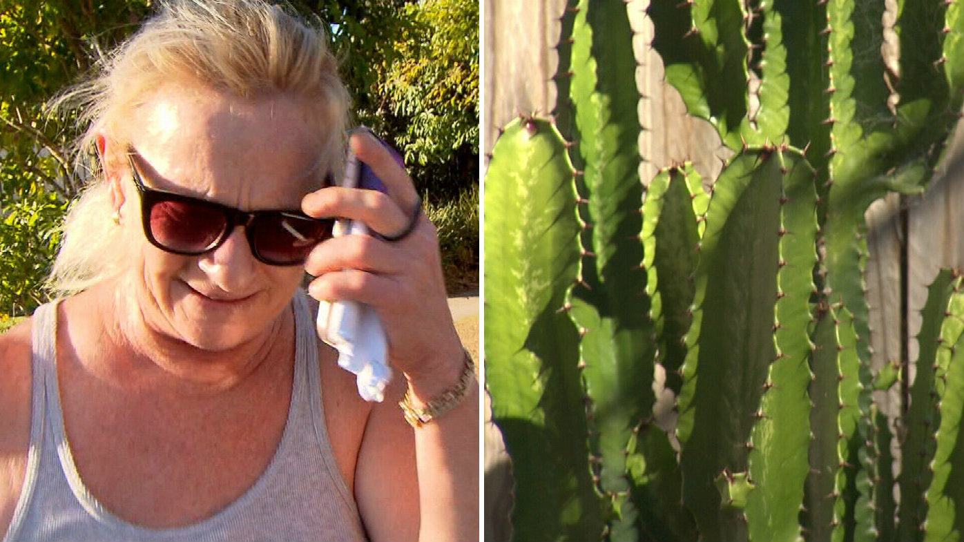 'Are you serious?' Granny denies plant stealing spree