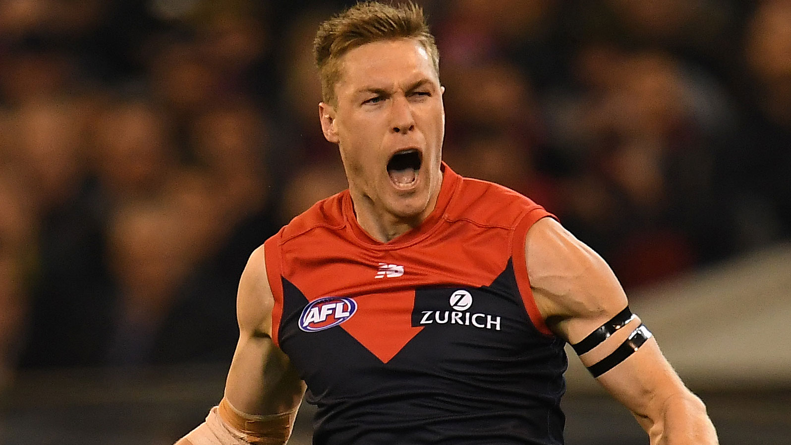 Demons mark triumphant return to finals football with ... - 1596 x 898 jpeg 219kB