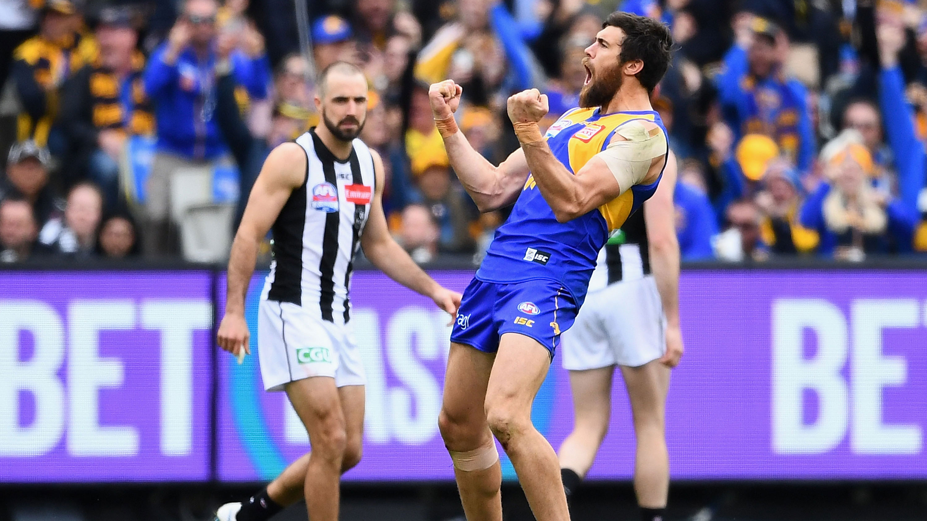 Afl Grand Final West Coast Eagles Win Against Collingwood Magpies Hot Sex Picture 0153