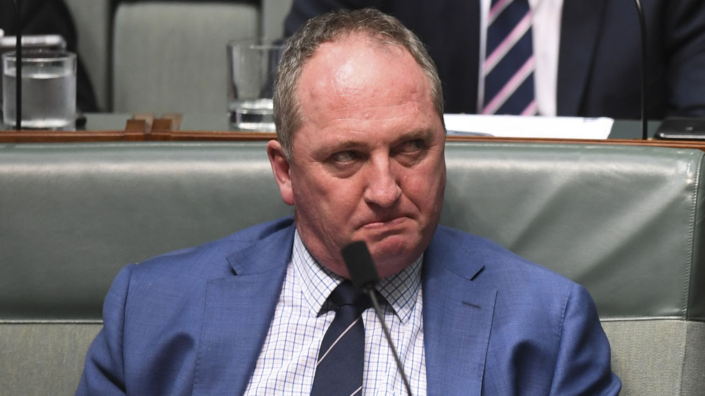 Barnaby Joyce would accept Nationals leadership if it was 'offered'