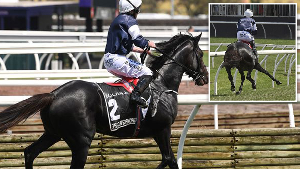 Why are injured race horses euthanised trackside?