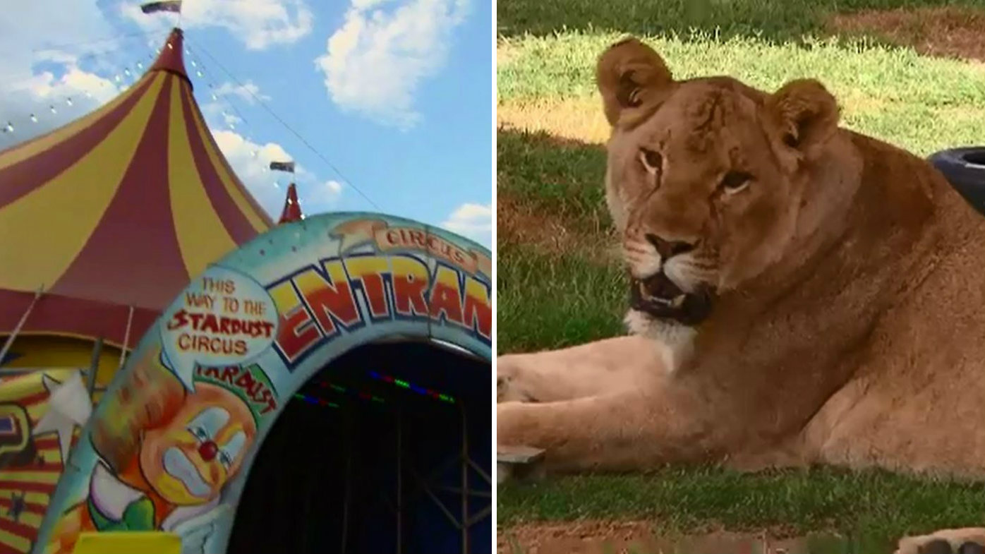 Could this be the death of the circus?