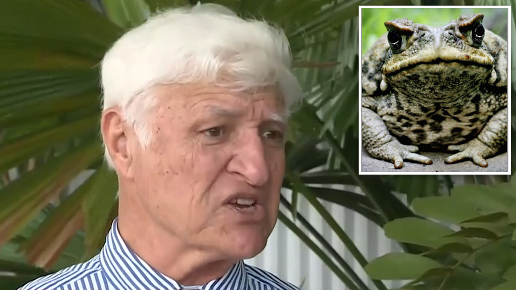 Katter wants kids to hunt cane toads with rifles 'for pocket money'