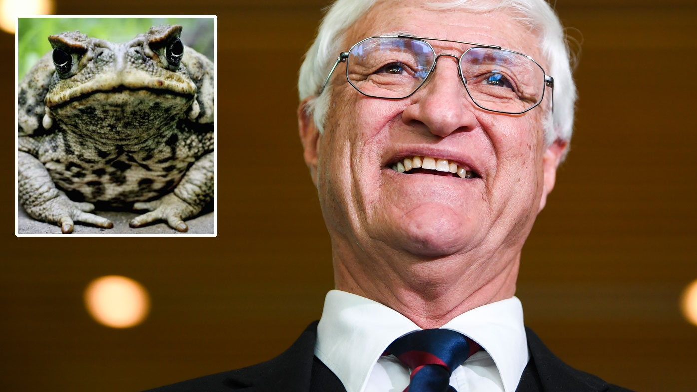 Katter wants kids to hunt cane toads with rifles 'for pocket money'