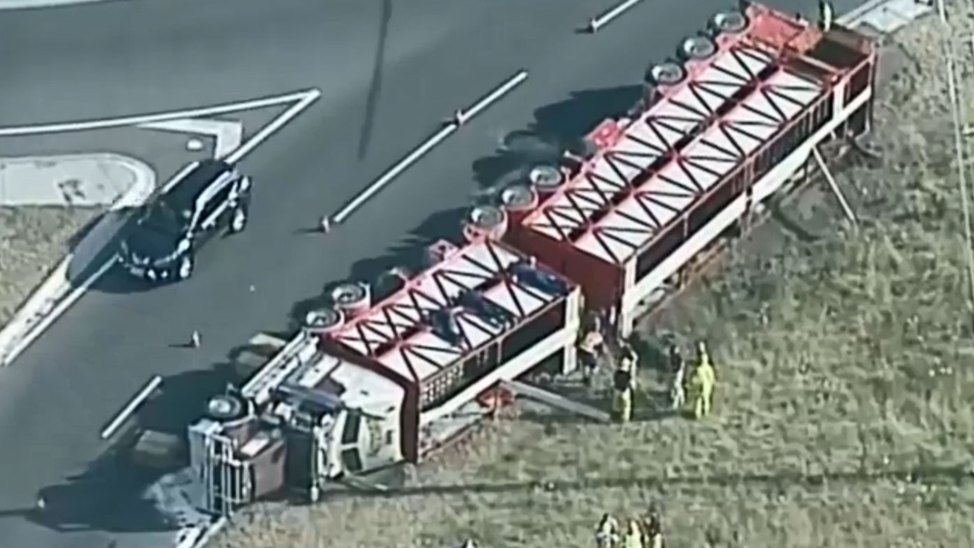 News Victoria Cattle carnage after truck rolls southeast of Melbourne
