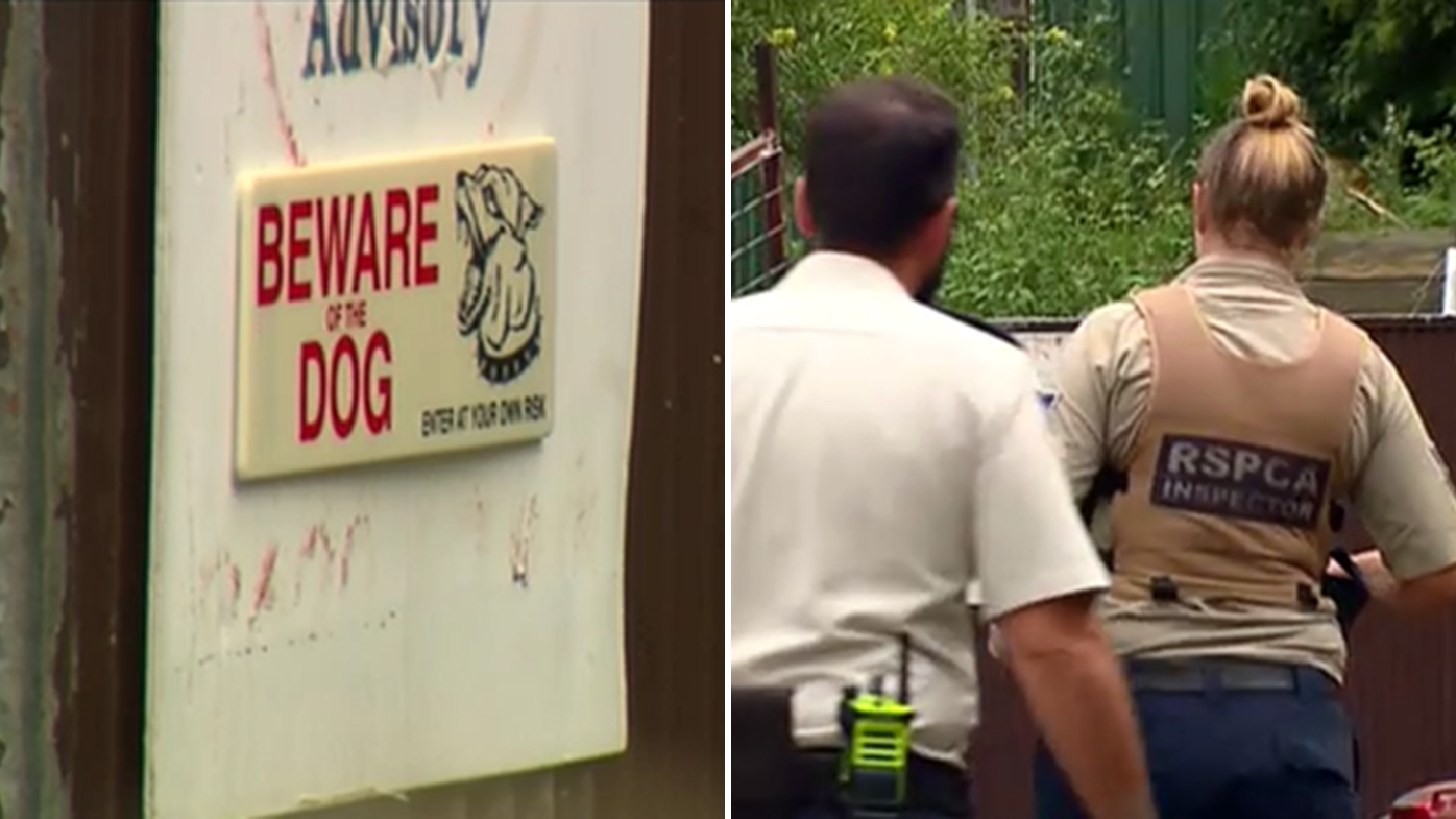 Sydney news Three injured in Tregear dog attack Sydney news Three injured in Tregear dog attack