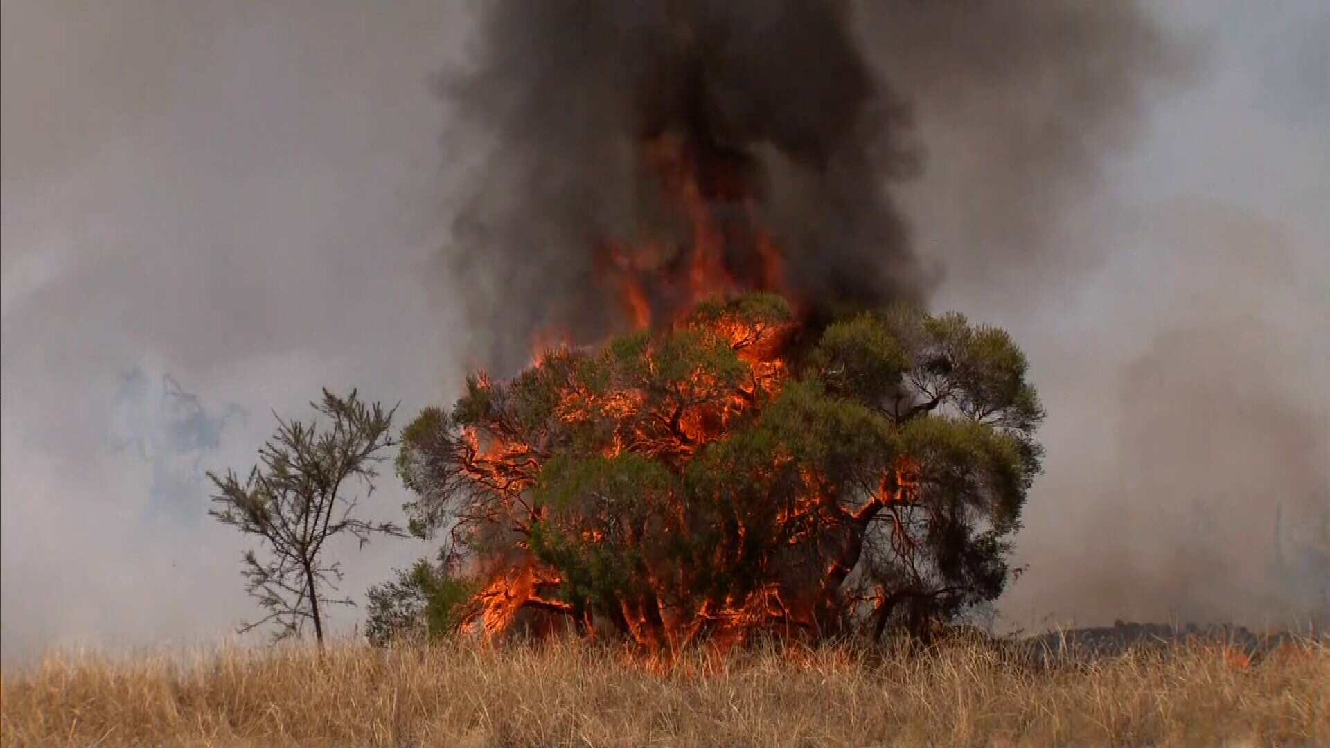 bushfire-news-western-australian-and-tasmanian-residents-on-high-alert