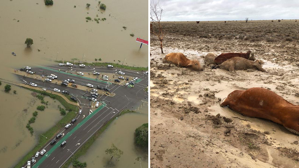 Government giving $1 million to flood-ravaged Queensland areas
