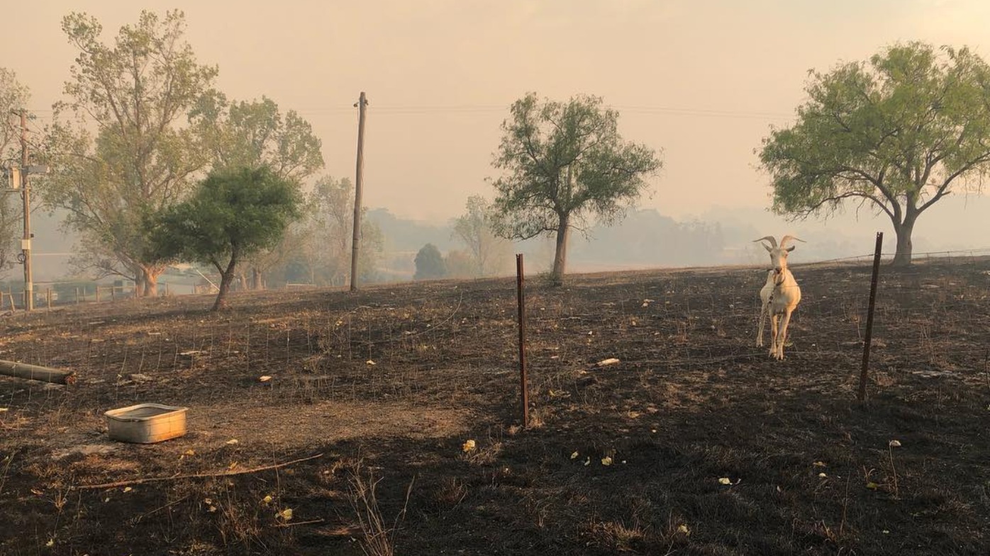 Victoria bushfires More buildings wiped out as devastating trail of