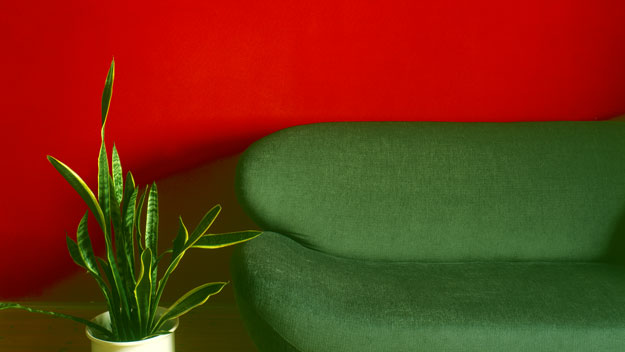 What Goes With Red what goes with red What Goes With Red what goes with red