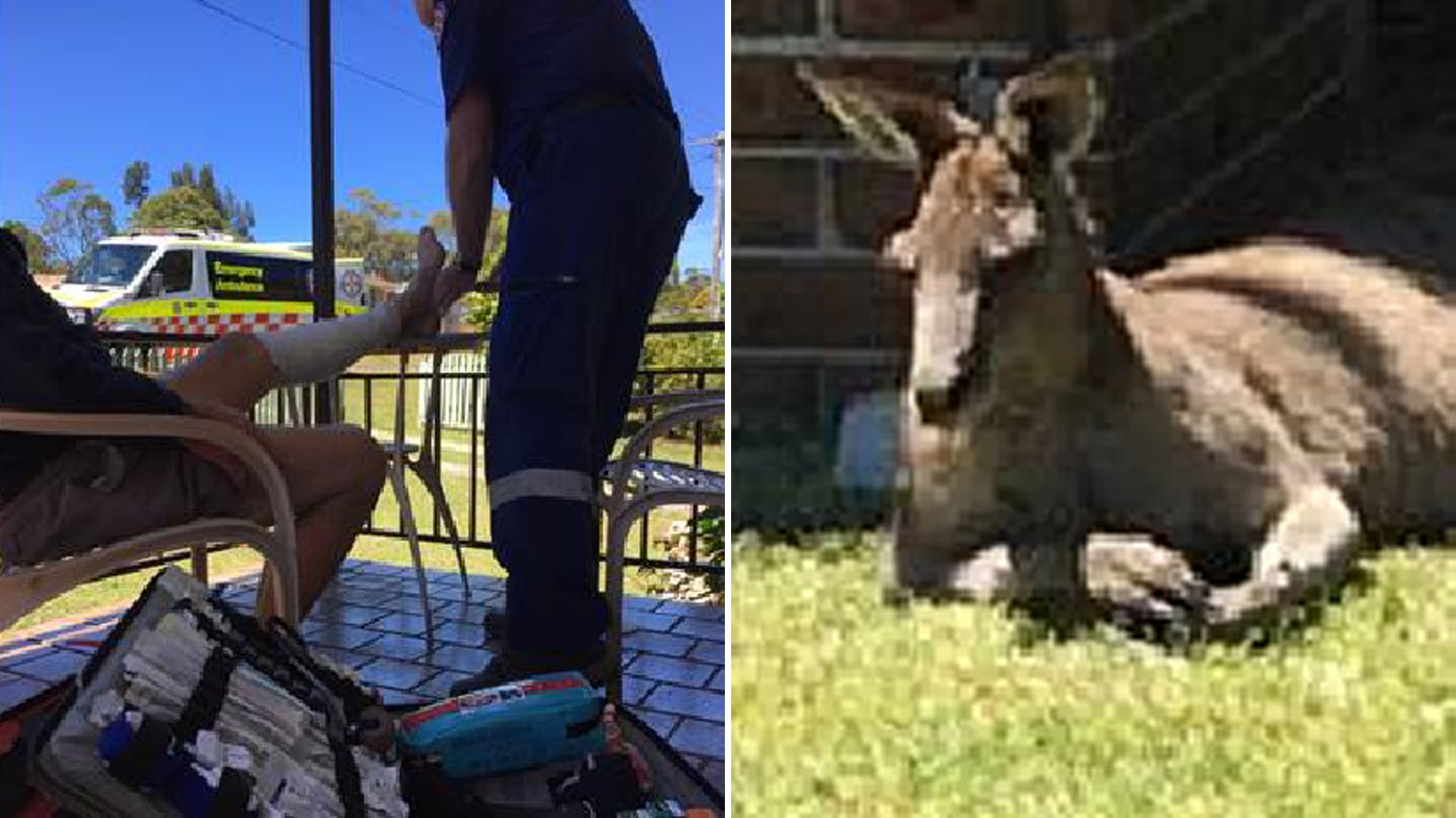 Kangaroo attacks elderly man on NSW coast 9News