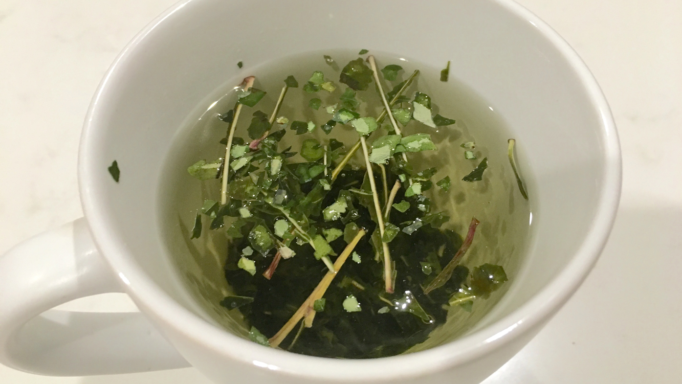 Indigenous tea claims to be Australia's answer to the superfood trend