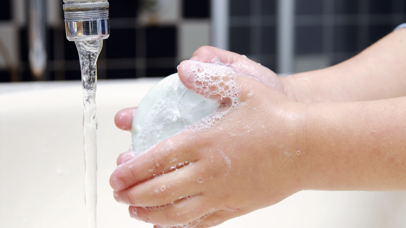 Antibacterial soap is no better at killing germs than regular soap 9Coach