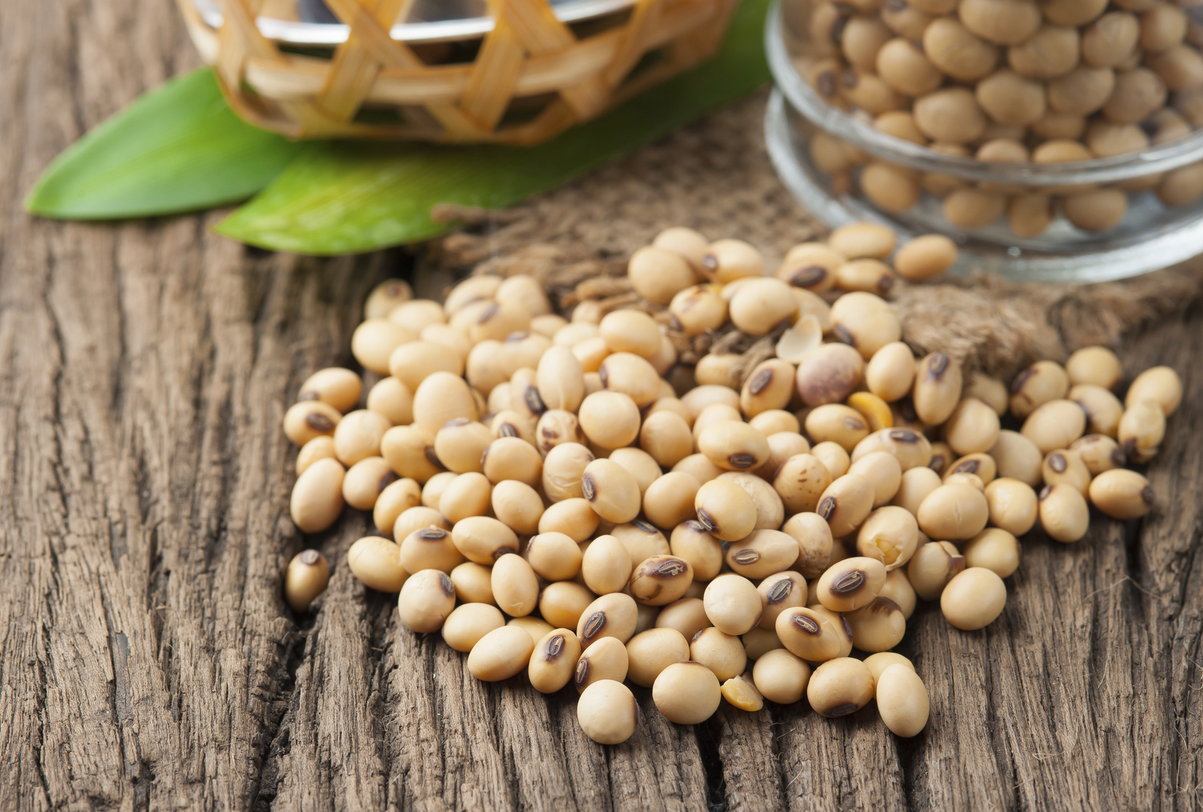 Vegan muscle 20 vegetables ranked by protein content 9Coach