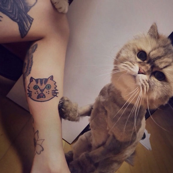 south korean tattoo artist turning pet pics into sick tatts south korean tattoo artist turning pet pics into sick tatts